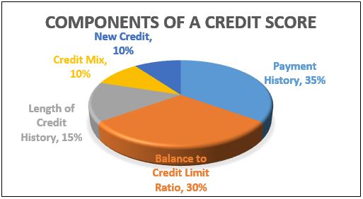 Components of a credit score